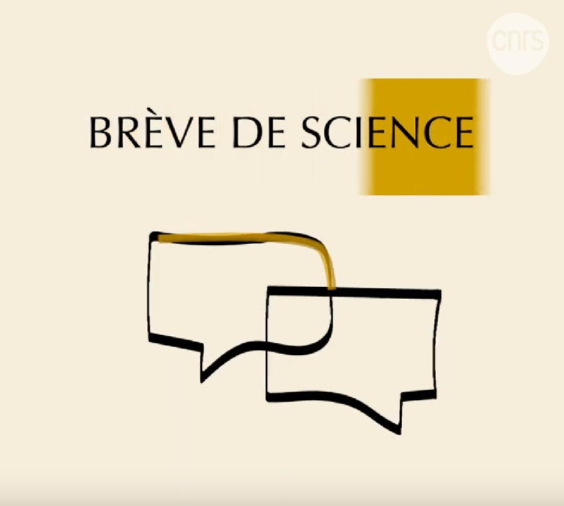 Visuel série Brève de science du CNRS